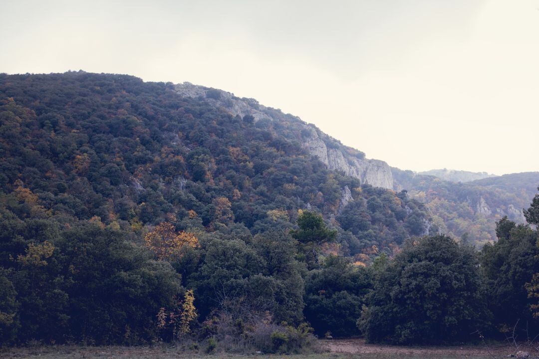 Parque Natural de la Font Roja, en Alcoy