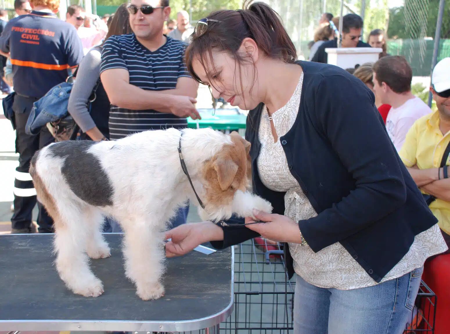Feria del Perro en Archidona