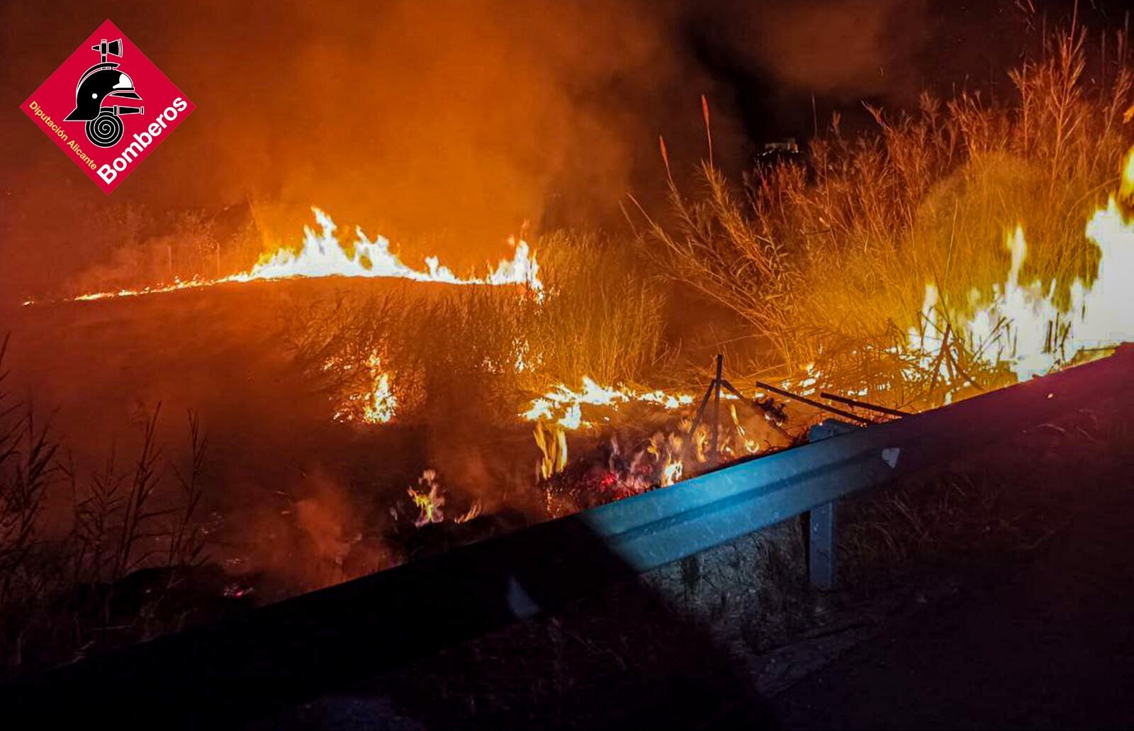 Incendio de cañar y vegetación en Callosa de Segura