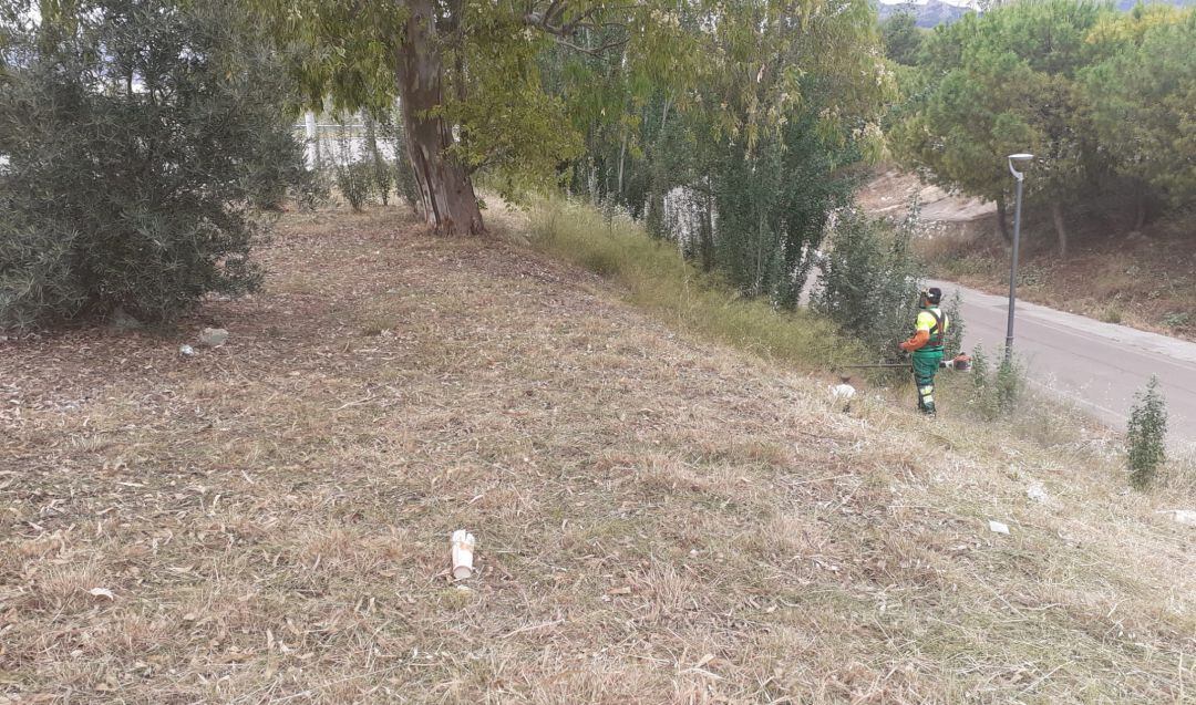Un operario limpia un solar cercano al recinto ferial.