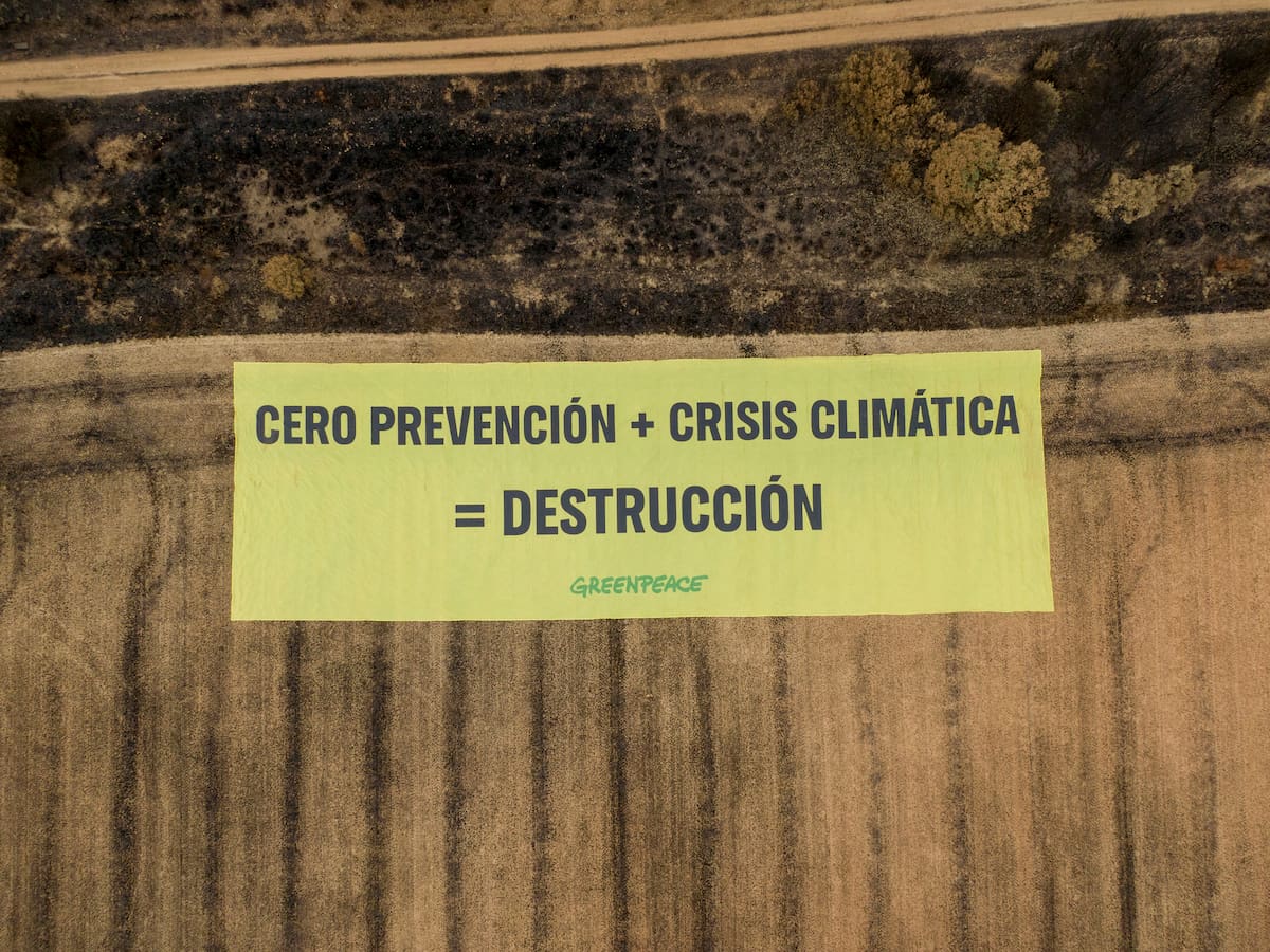 Greenpeace elige Palacios de Jamuz para exigir un punto de inflexión en la lucha contra los incendios forestales