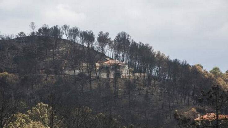 Alícia Izquierdo, concejal de Gestión Responsable del Territorio.