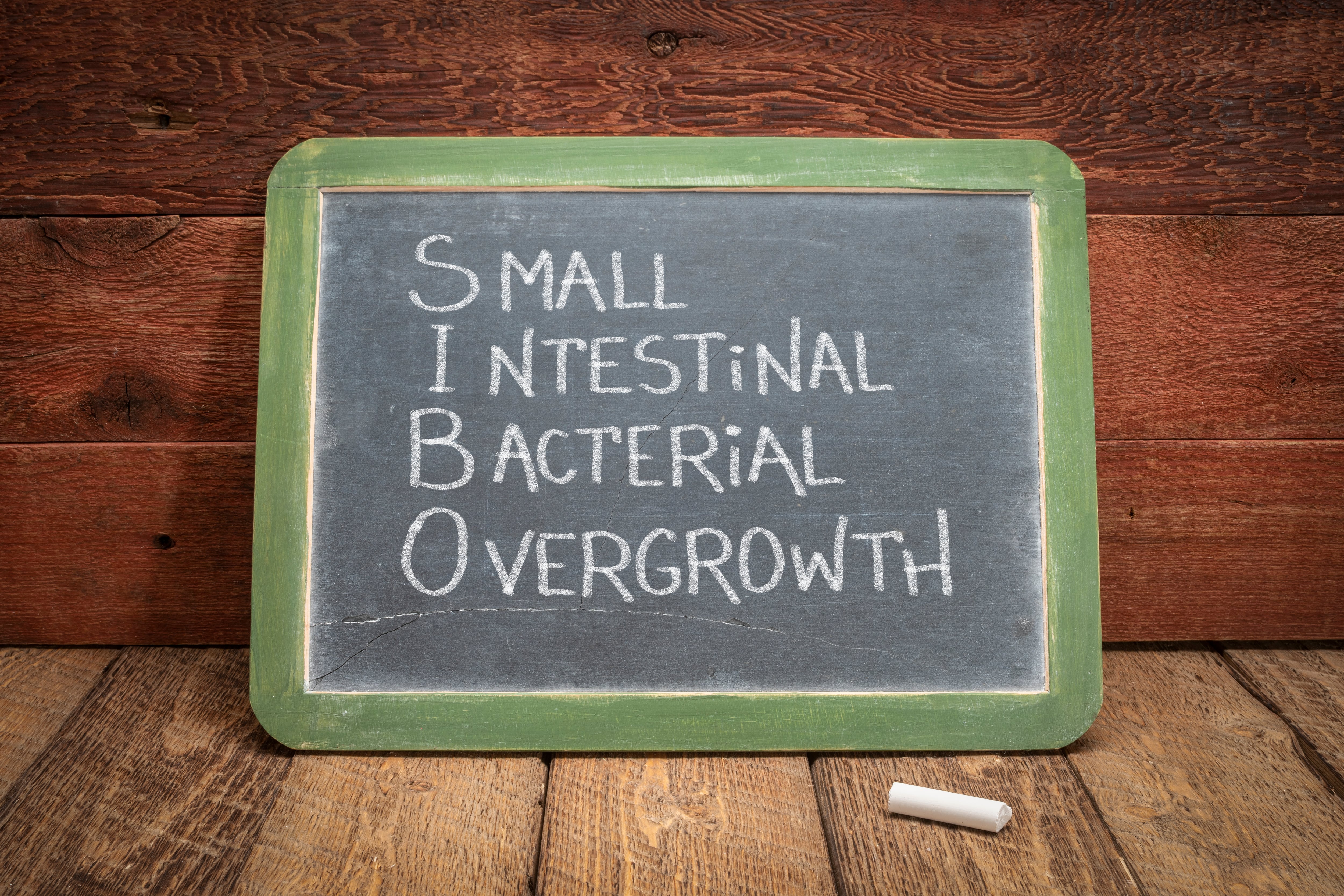 SIBO no es el nombre de una bacteria, es el acrónimo de Small Intestinal Bacterial Overgrowth.