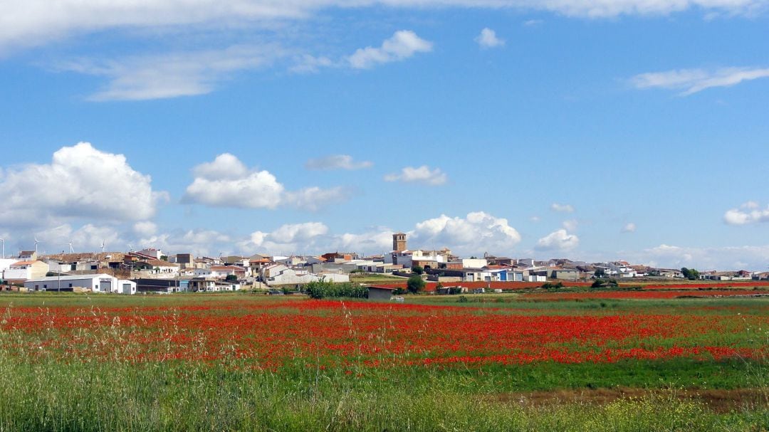 Campillo de Altobuey.