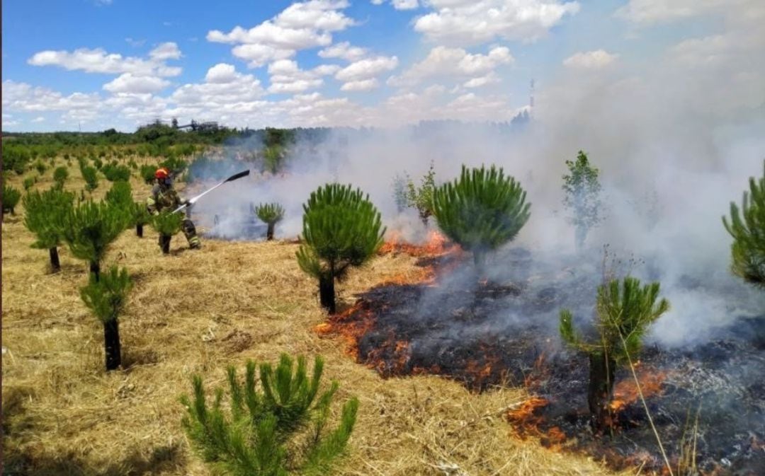 Incendio en el &#039;Bosque de los sueños&#039; en Valladolid