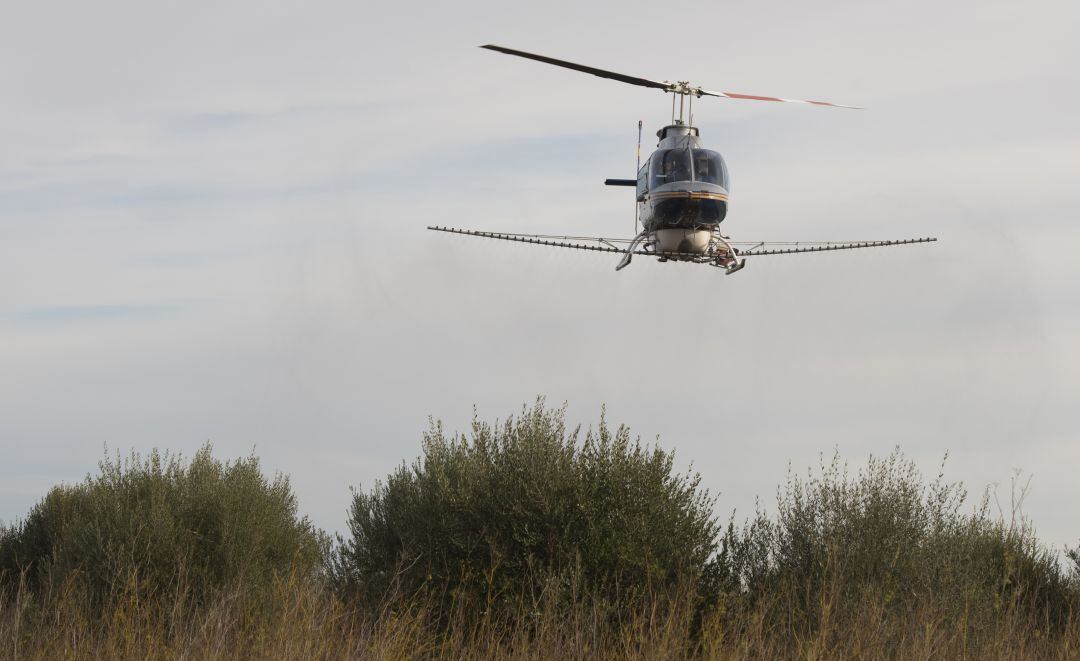 Fumigación aérea en zona de marjal de la provincia de Castellón