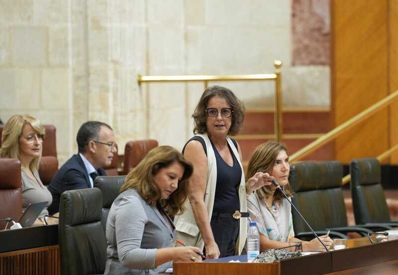 La consejera de Salud interviene el el Parlamento, tras ser interpelada por el PSOE.