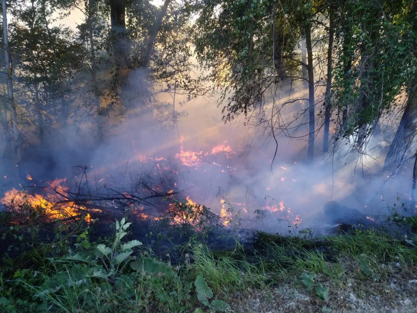 Incendio junto al parque Ribera Sur