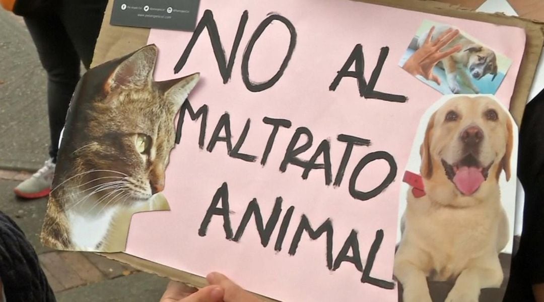 Cartel que pide que no se maltrate a los animales