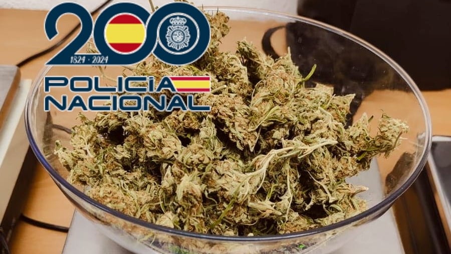 Droga intervenida por la Policía Nacional