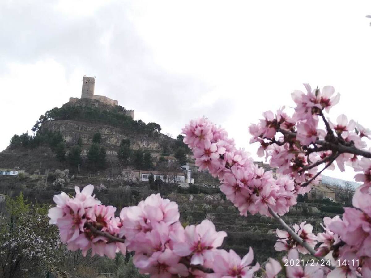 Jover denuncia el ninguneo de la Generalitat a los pueblos más pequeños del Medio y Alto Vinalopó