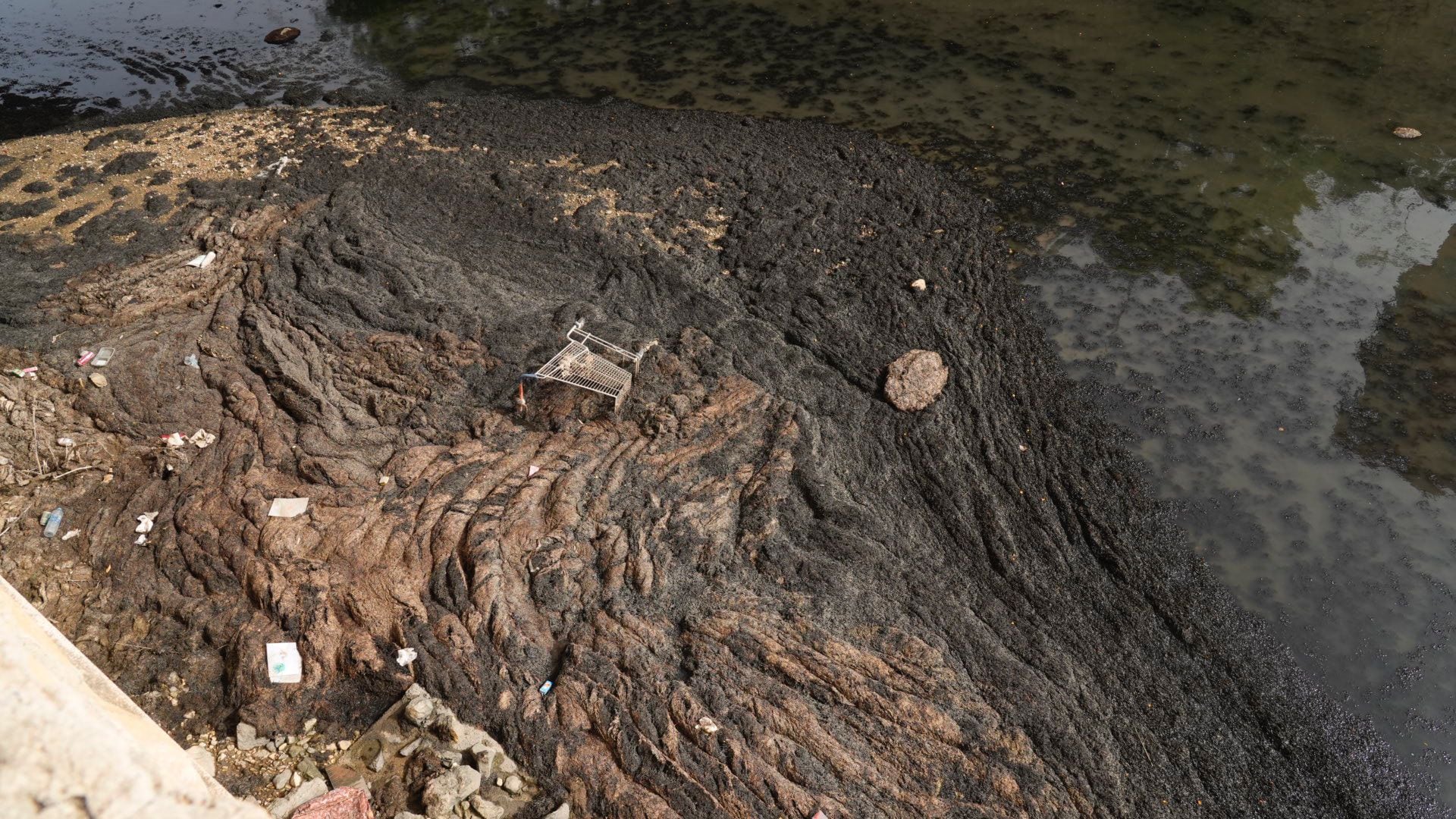 Restos de basura y lodos en el Barranco de las Ovejas