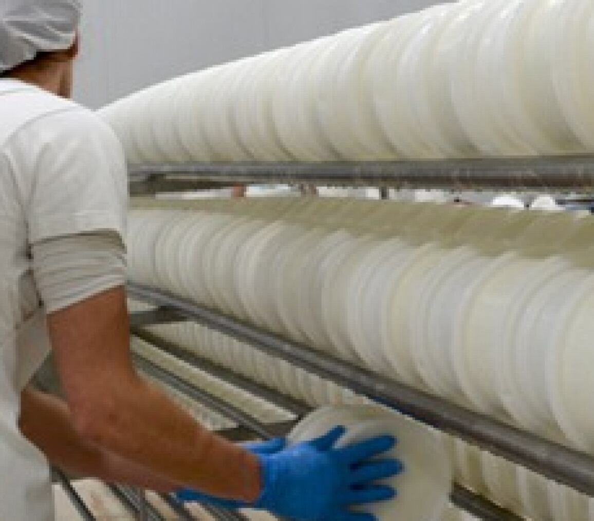 Elaboración de queso