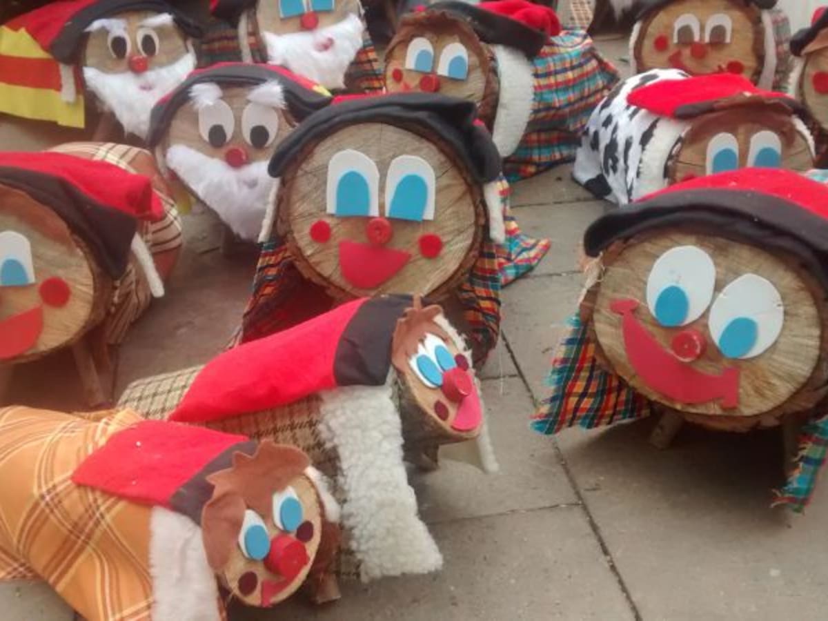 L'escola La Vitxeta de Reus acull la cinquena trobada de tions