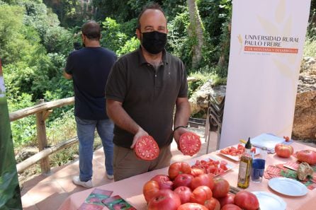 Rafael Galindo muestra uno de los tomates rosas de La Indiana