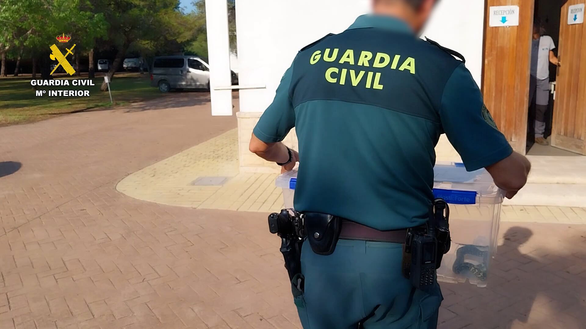 Localizan seis serpientes protegidas en una vivienda de Cullera (València).