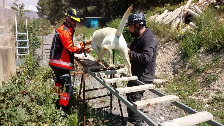 La Unidad Canina de los Bomberos de Ibiza al rescate de las personas