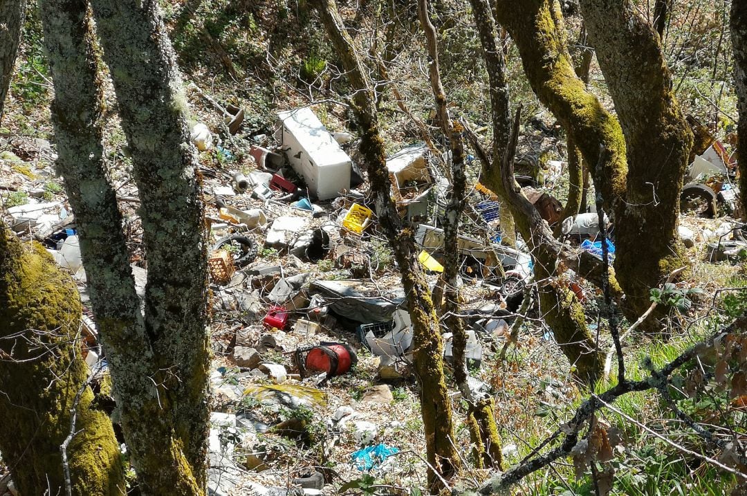 Imagen de archivo de basura en plena naturaleza