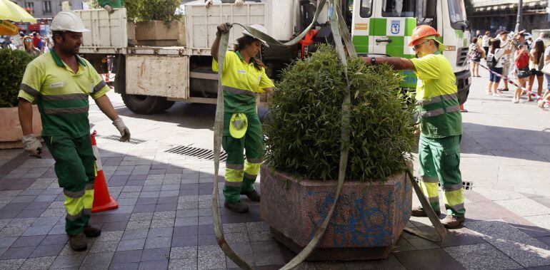 Operarios del Ayuntamiento de Madrid colocan jardineras esta mañana en la céntrica Calle de Montera, una de las más concurridas de la capital, después de los atentados ocurridos en Barcelona y Cambrils.