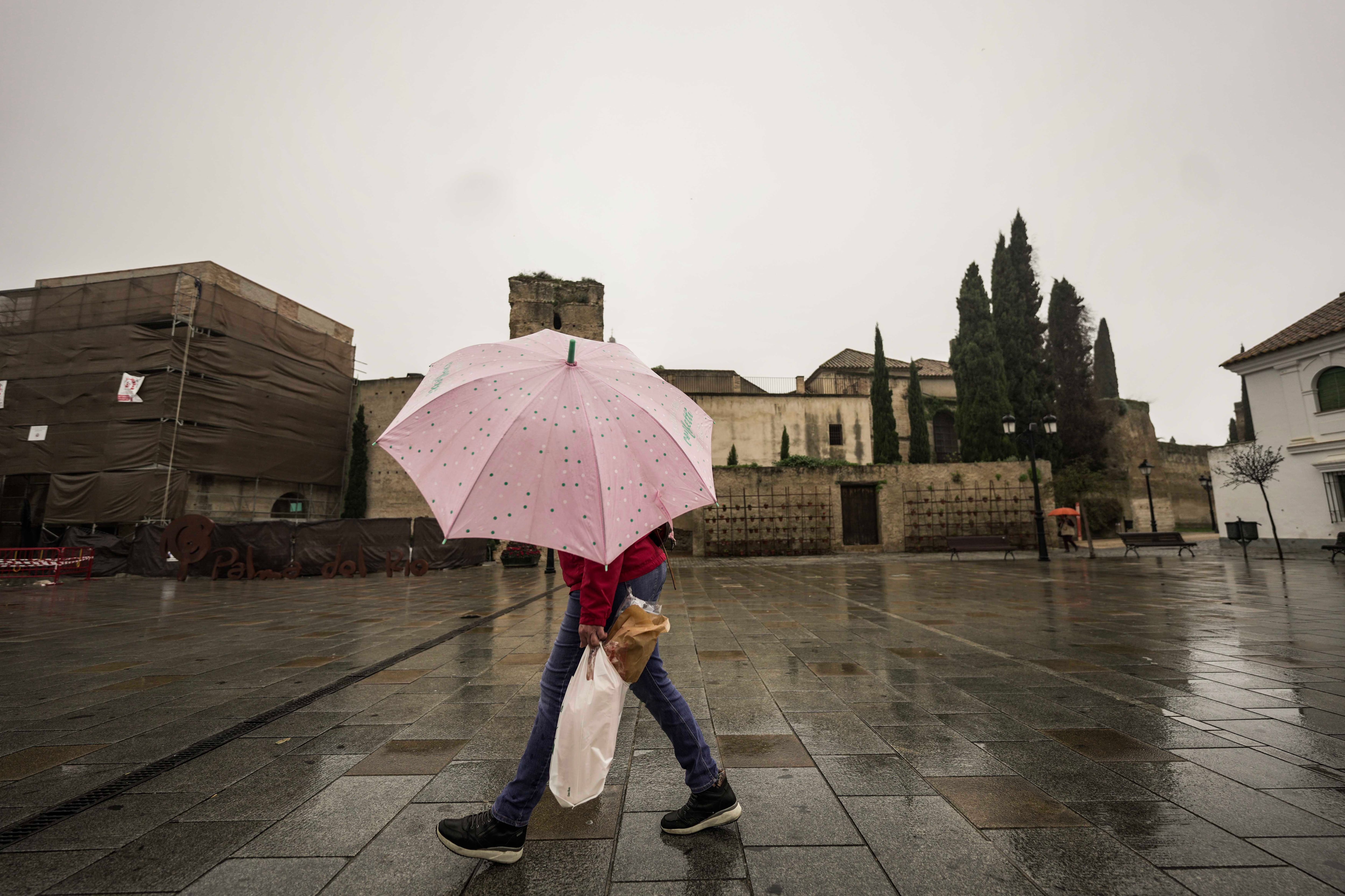 Una persona camina tapándose de la lluvia en Palma del Río (Córdoba), el pasado marzo.