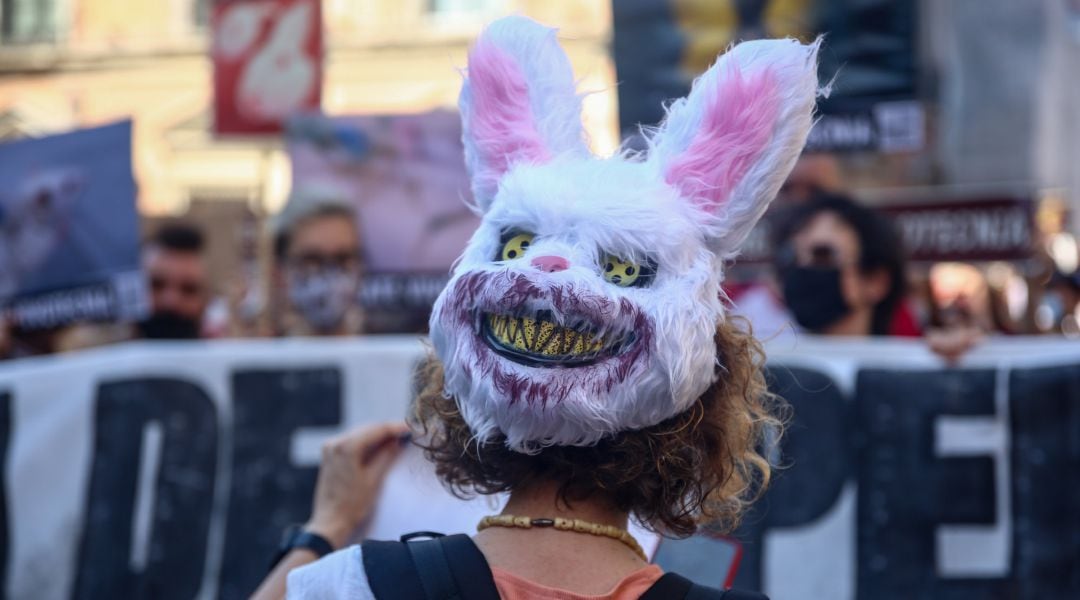 Varias personas participan en una manifestación para exigir el rescate de los animales de Laboratorios Vivotecnia.