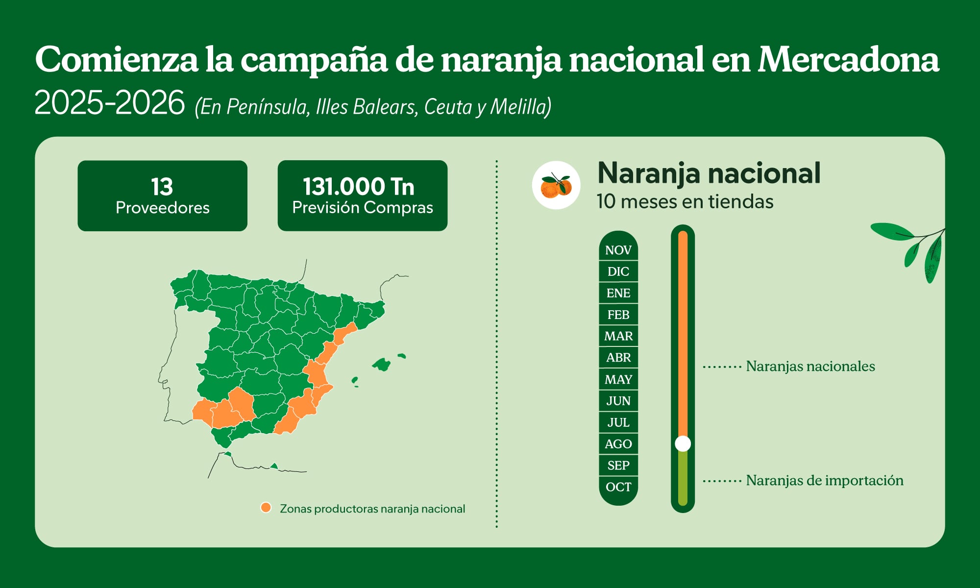 Comienza la campaña de naranja nacional en Mercadona con 13 proveedores y una estimación de 131 mil toneladas de previsión de compra