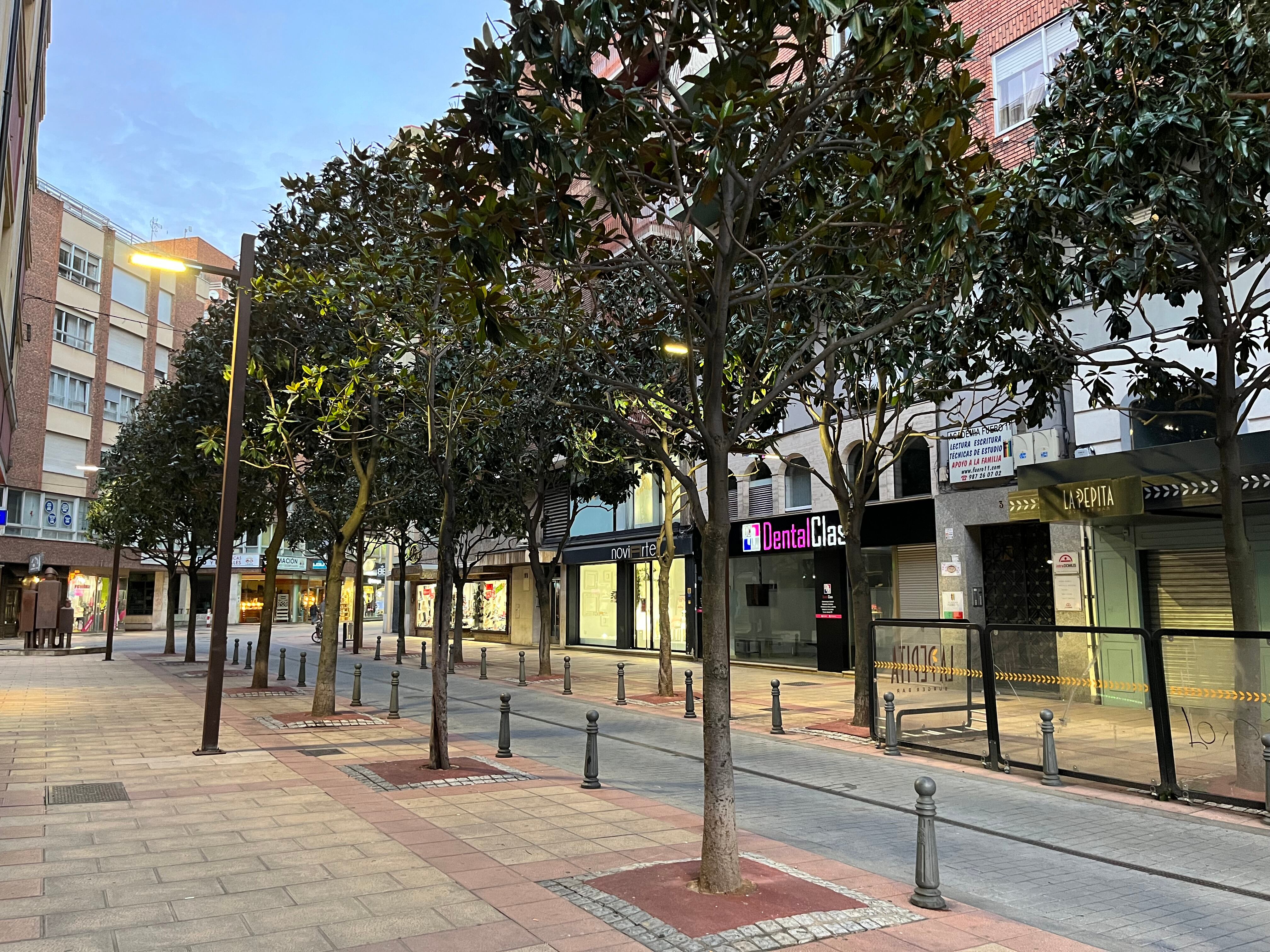 Los magnolios ya adornan la vecina calle de Villabenavente en su tramo peatonal