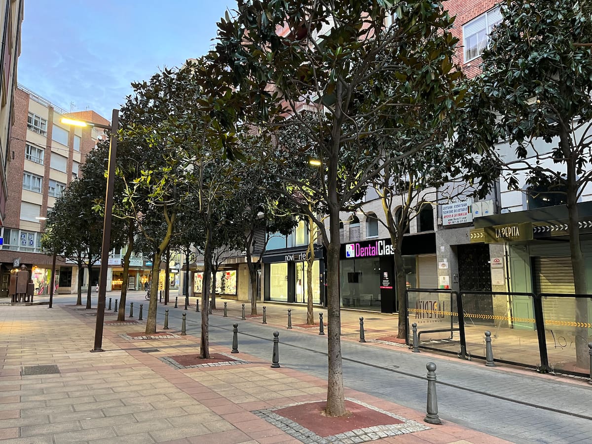 El Ayuntamiento de León colocará 16 jardineras con magnolios en las nuevas calles peatonales del centro