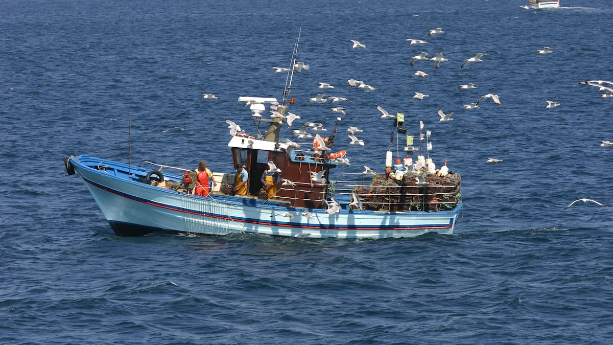 No vamos a contar mentiras: "La sostenibilidad de la pesca', con José Luis Sánchez Lizaso, catedrático de Ciencias del Mar