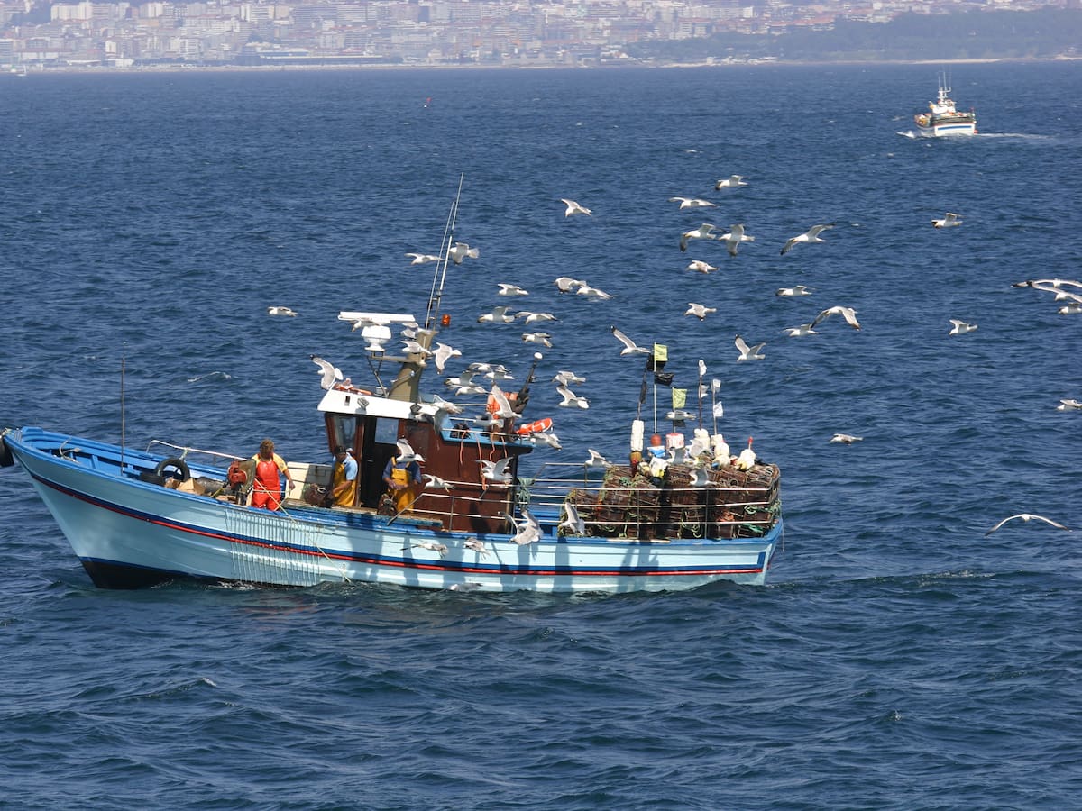 Si se emplean razonablemente todas las artes de pesca son sostenibles