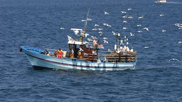 Si se emplean razonablemente, todas las artes de pesca son sostenibles