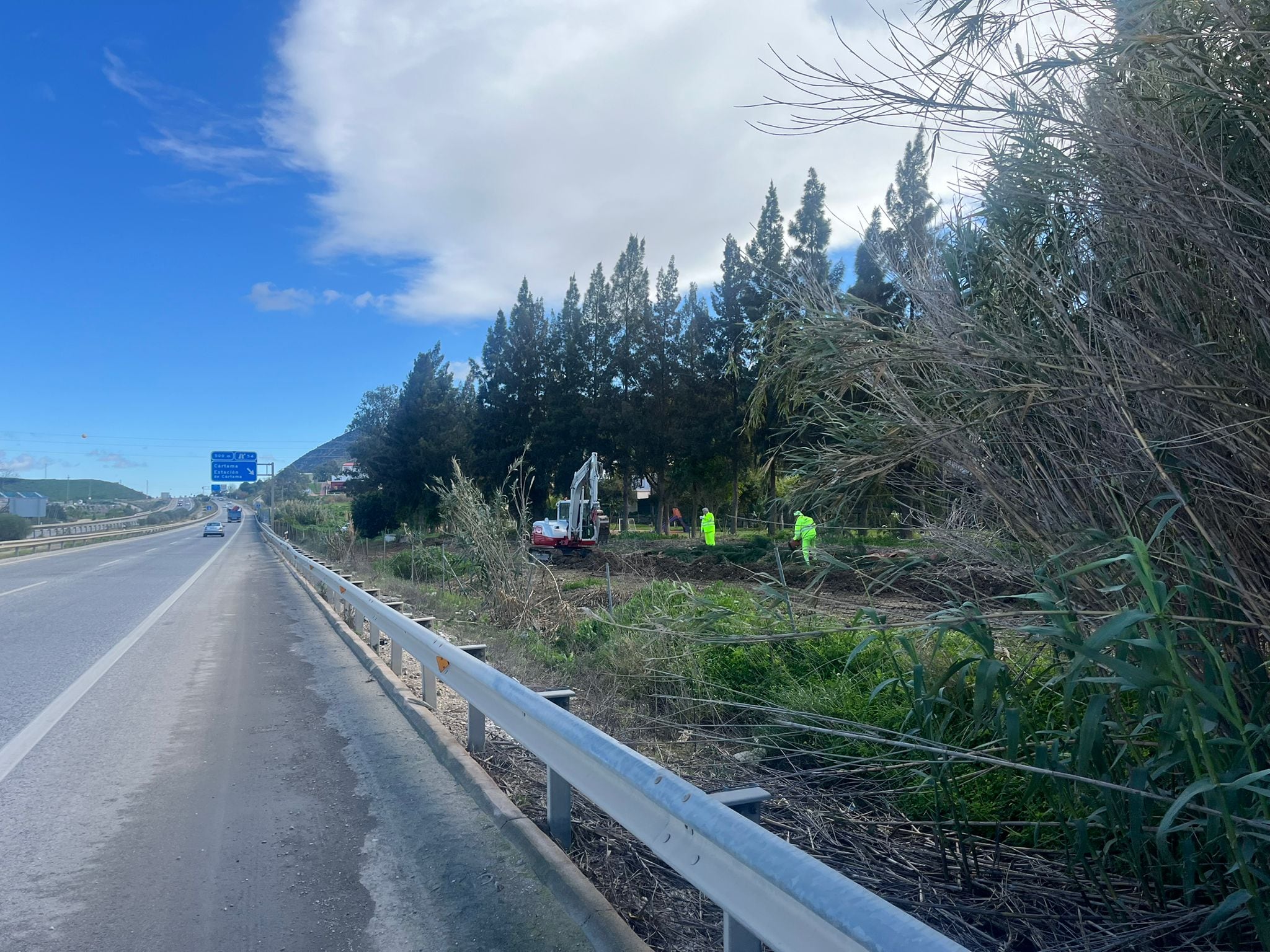 Barrera vegetal en la autovía