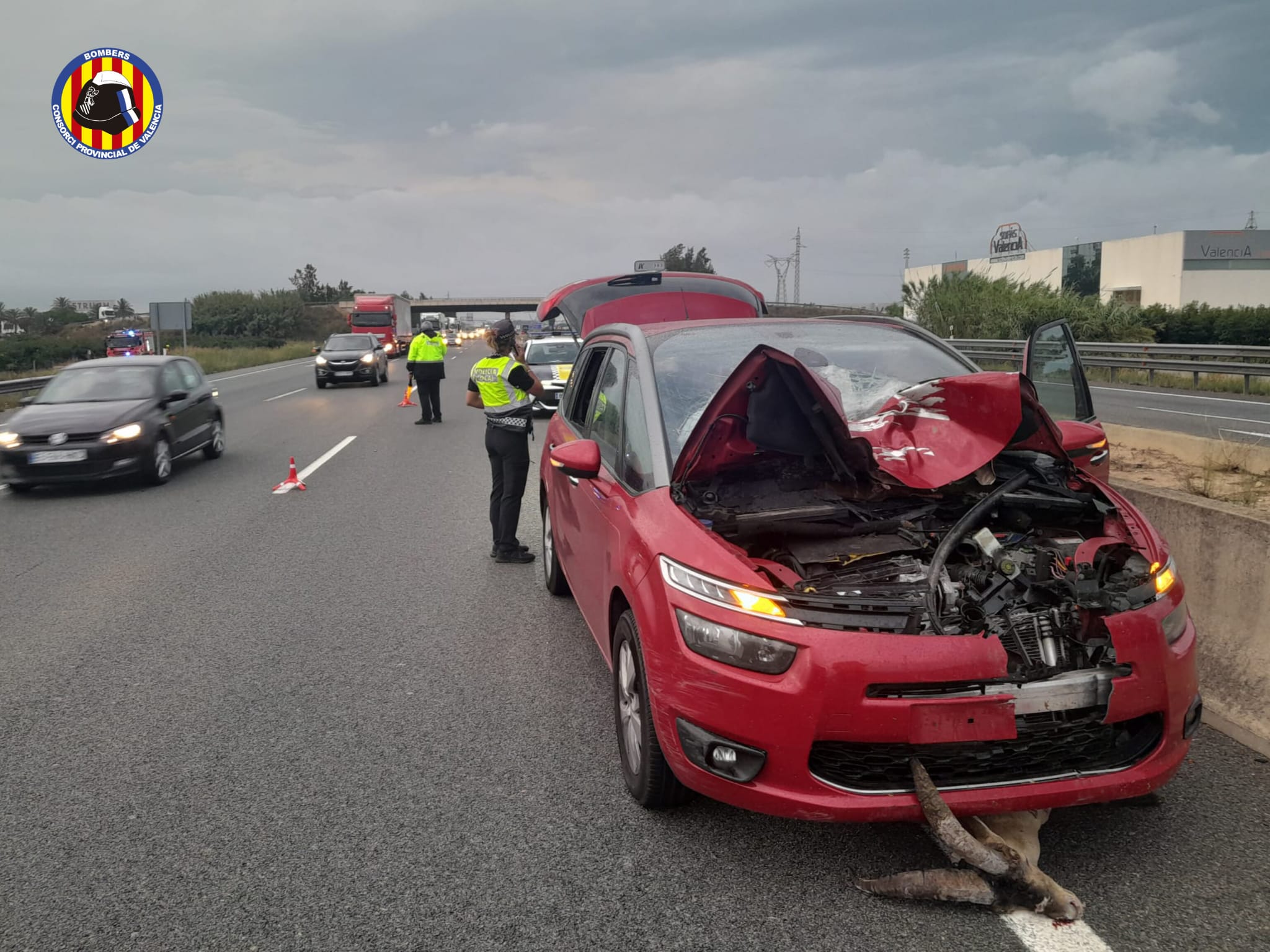 Vehículo siniestrado con la cabra debajo