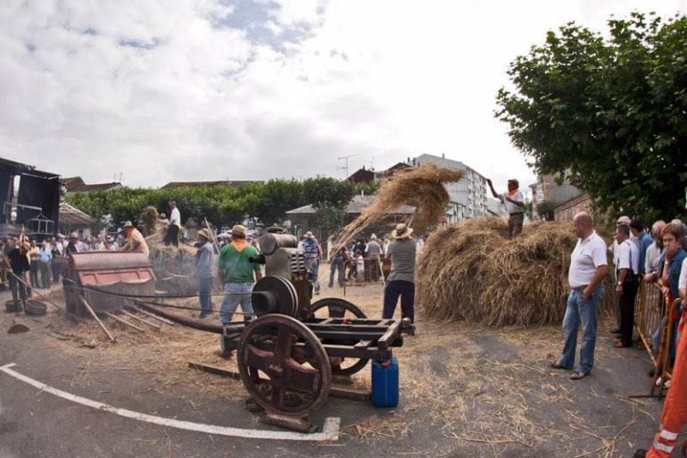 Festa da Malla de Meira