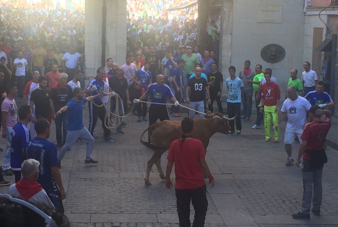 La suelta de vaquillas enmaromadas por el casco antiguo de Cuenca tendrá que esperar un año más. 