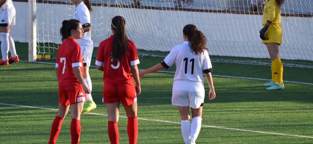 La concejalía se encuentra preparando la temporada 2020-2021