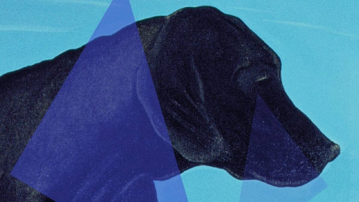 ENTREVISTA. Sebastià Alzamora