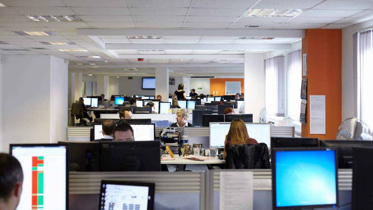 Por qué no conviene ser un "mulo de carga" en el trabajo y es mejor ser un "poni de oficina"