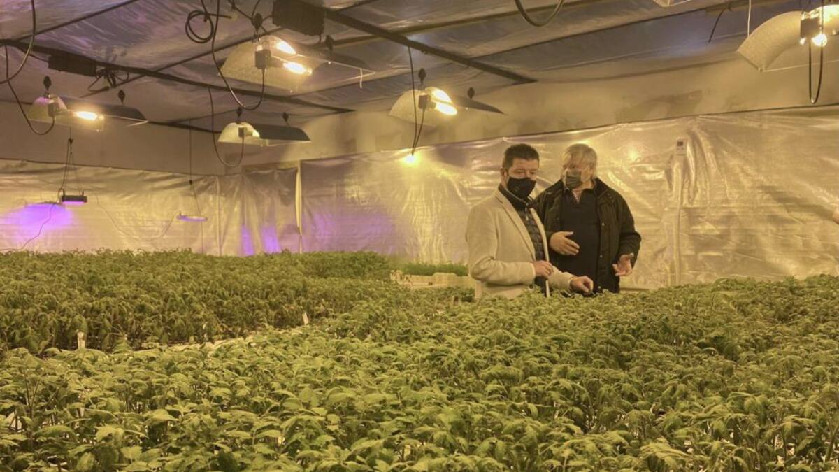 Jesús Sanchez, primer Festival del Tomate de Cantabria