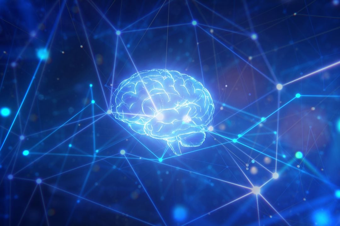 El cerebro humano es la estructura más compleja del universo