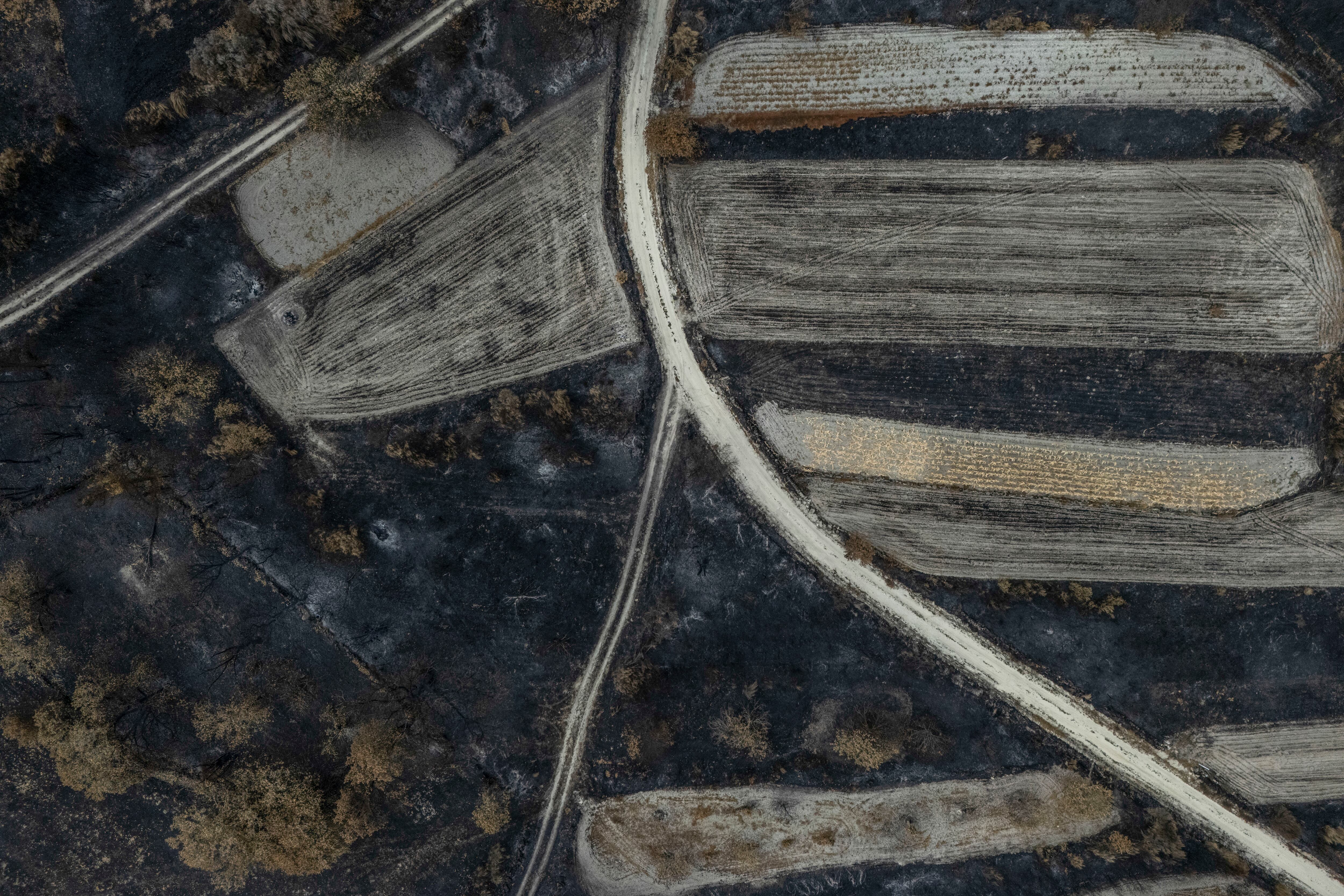 Una carretera que cruza varios campos quemados