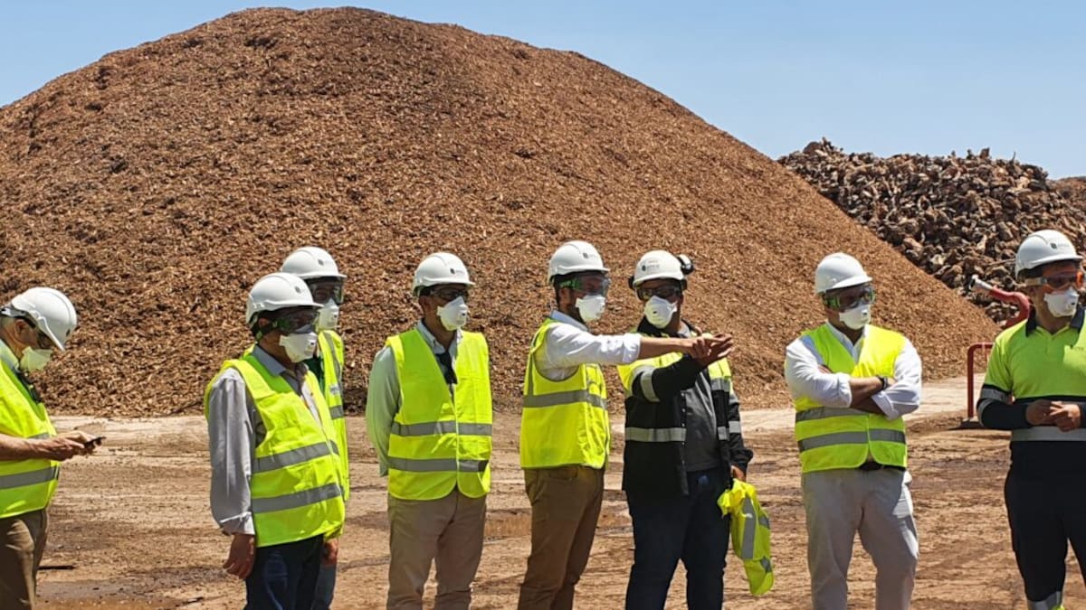 El Gobierno regional impulsa el tratamiento de la biomasa en tareas preventivas de incendios forestales y como vector energético renovable