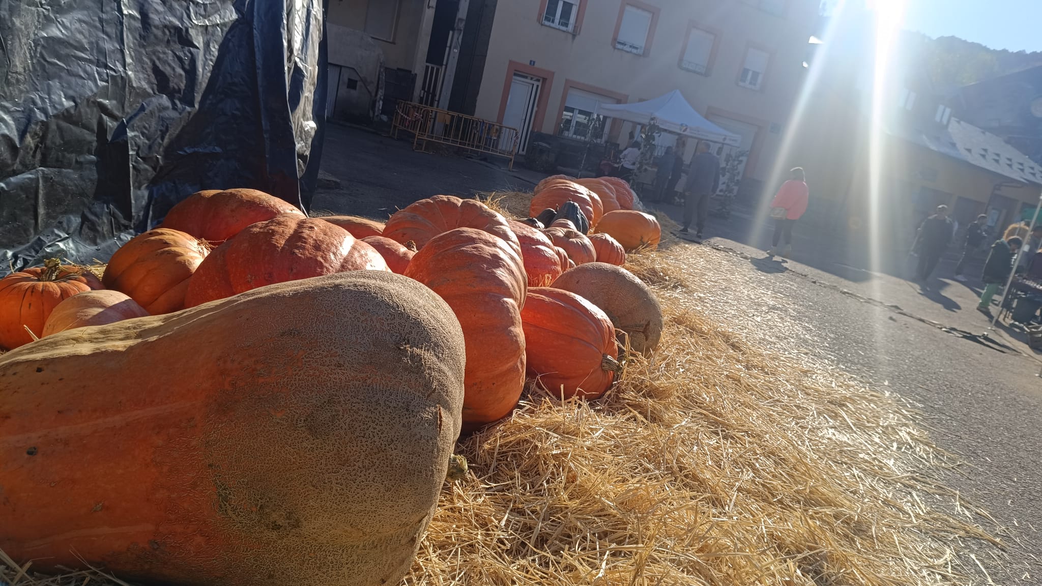 Feria de la Calabaza en Igüeña