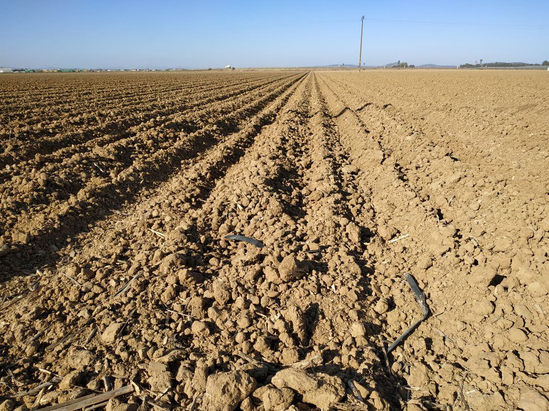 Estado actual de la tierra en Extremadura a falta de agua