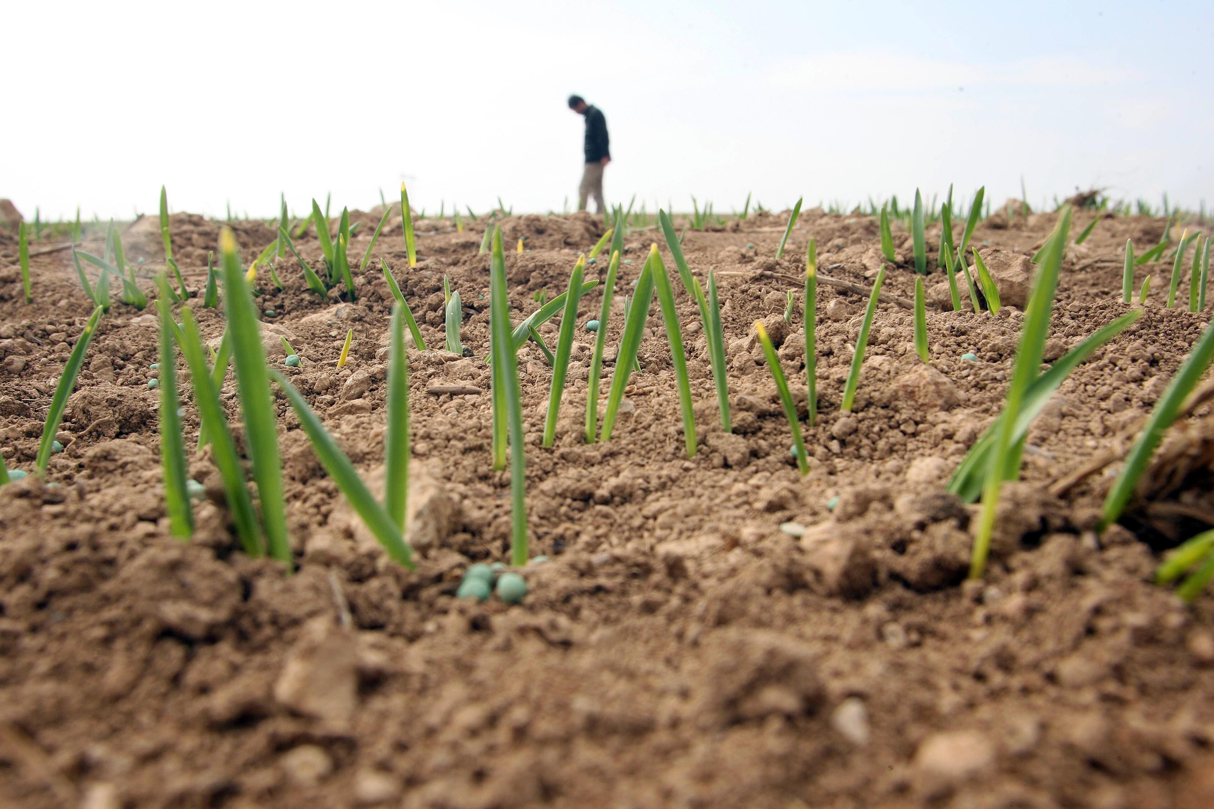 Graves repercusiones por la falta de lluvias