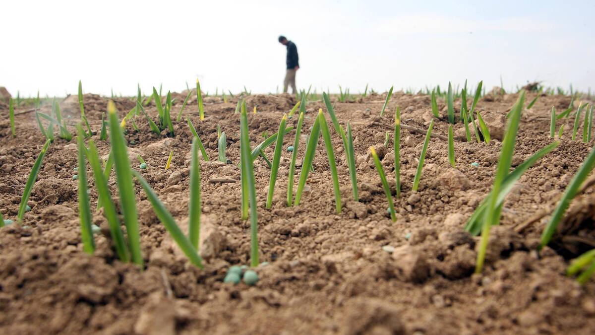 Los regantes del Pisuerga exigen a la CHD “medidas excepcionales" frente a la sequía