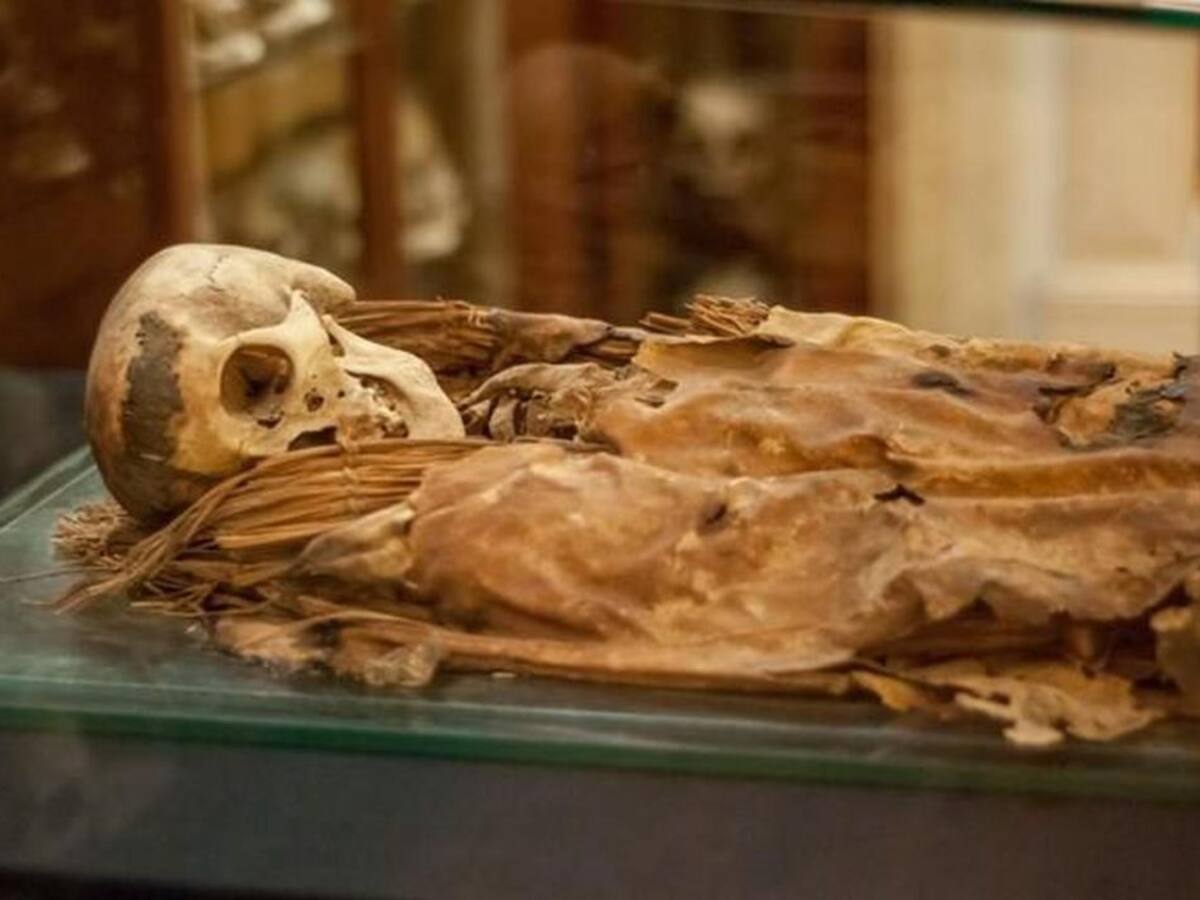 El futuro que cuenta el pasado