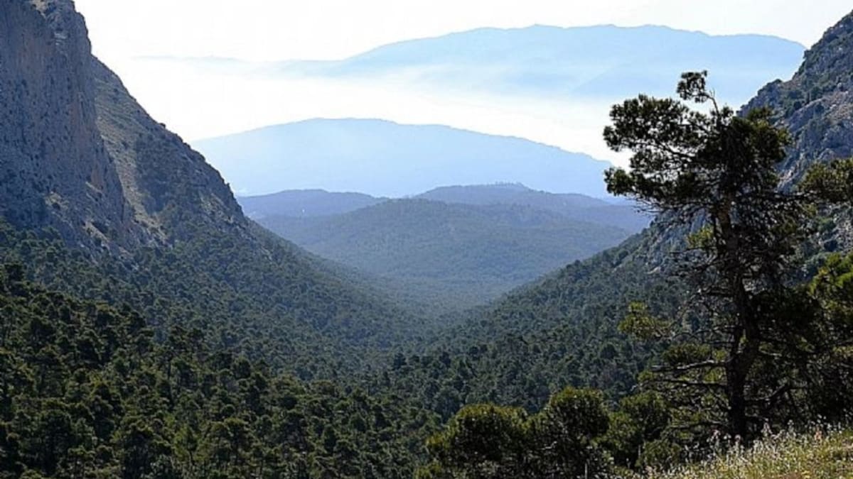 Medidas para proteger la reproducción del águila real en Sierra Espuña