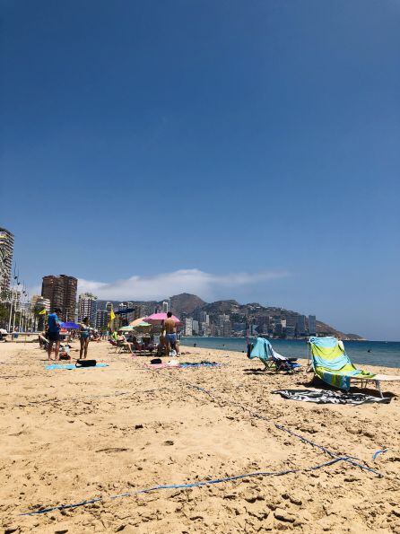 Playa de Levante (Benidorm), dividida en parcelas para cumplir con el nuevo protocolo sanitario