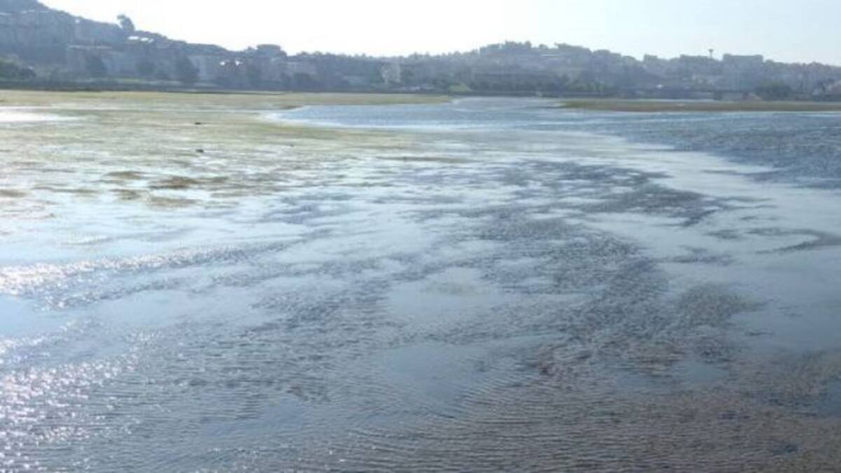 Xunta y Gobierno mantienen sus reproches sobre la ría de O Burgo